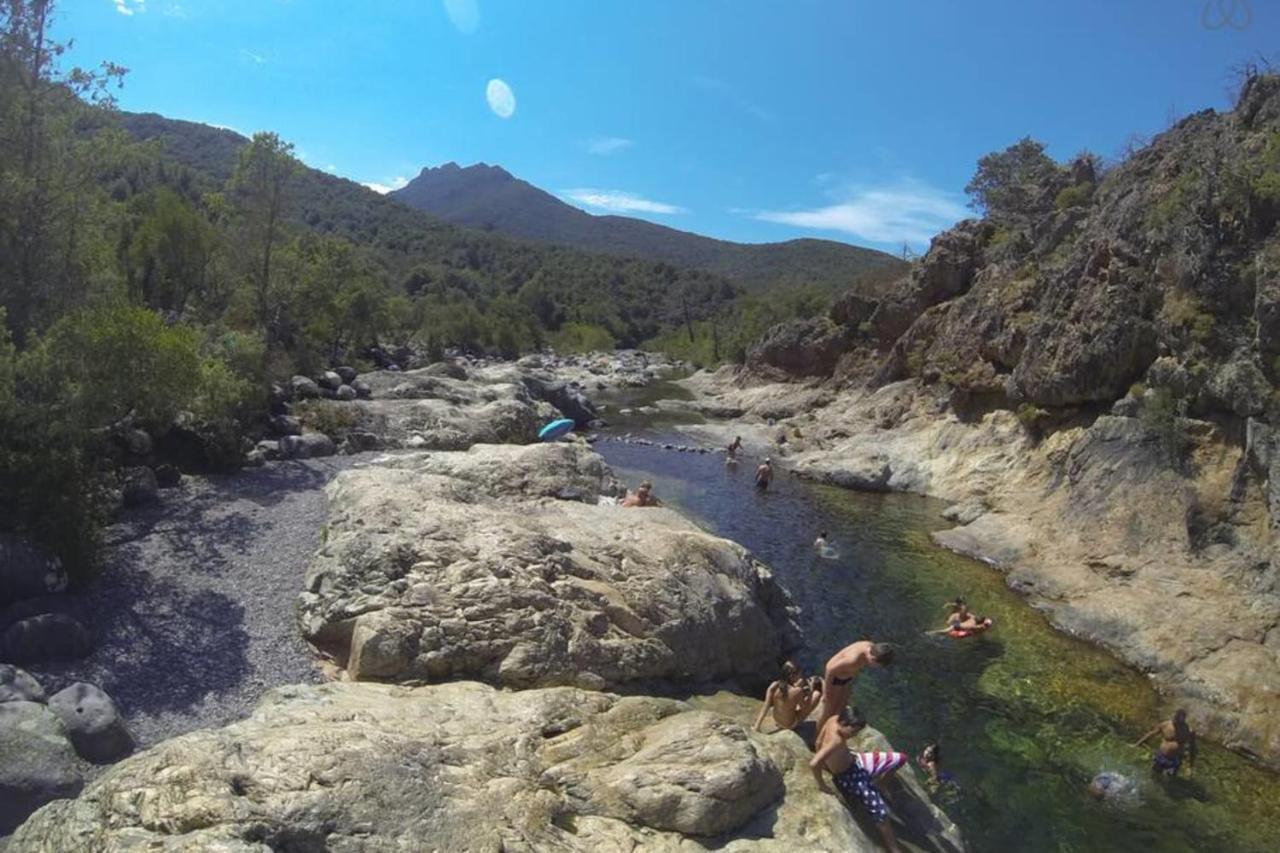 L'Orangeraie Calvi Centre A 300M De La Plage Et Du Port Parking Prive المظهر الخارجي الصورة