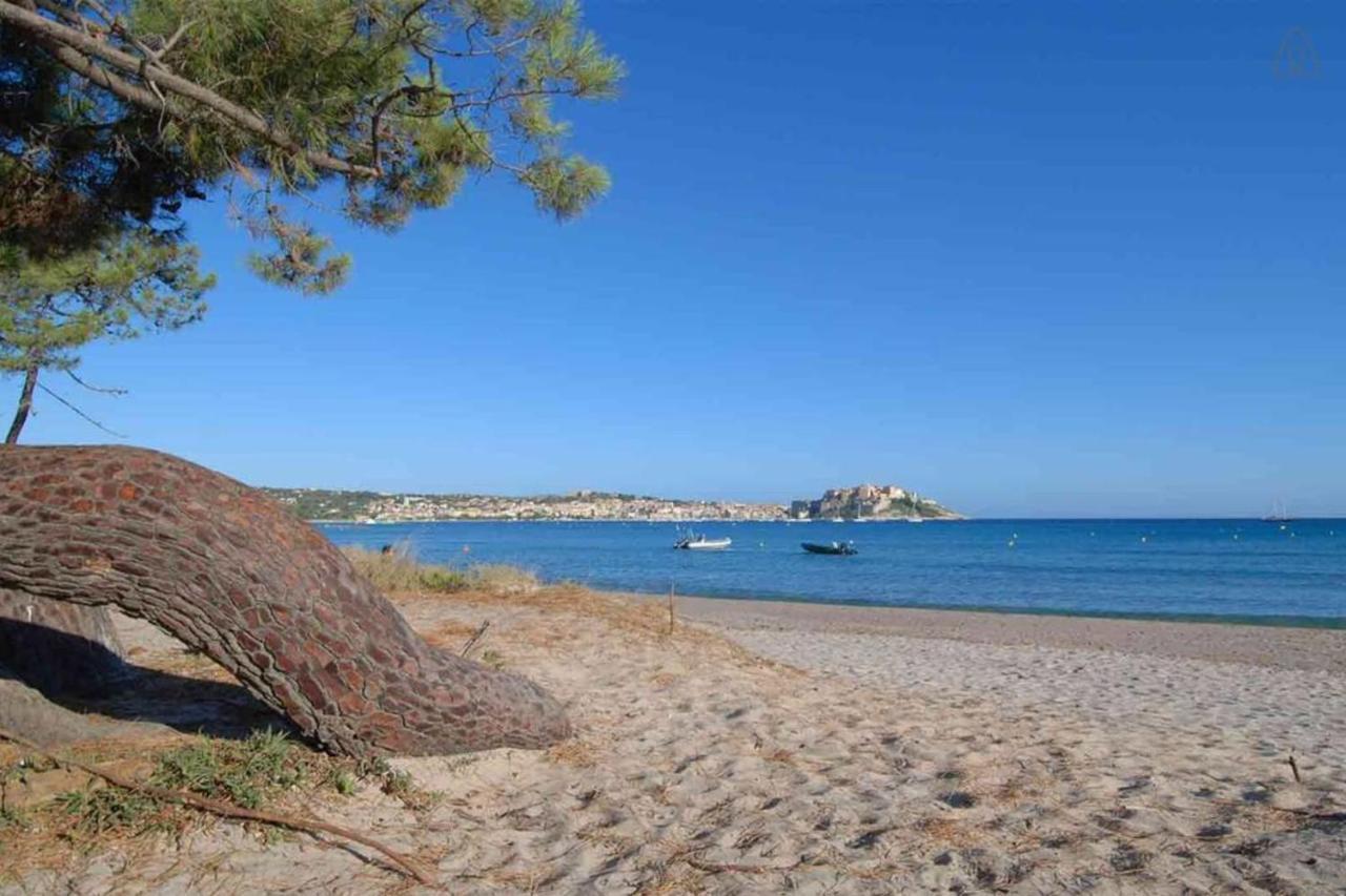 L'Orangeraie Calvi Centre A 300M De La Plage Et Du Port Parking Prive المظهر الخارجي الصورة